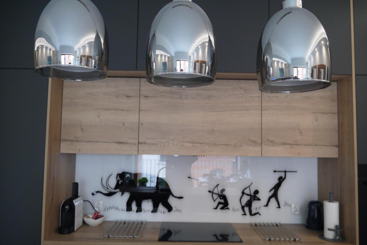 Nowy Apartament Zygmunta Premium グリヴィツェ エクステリア 写真