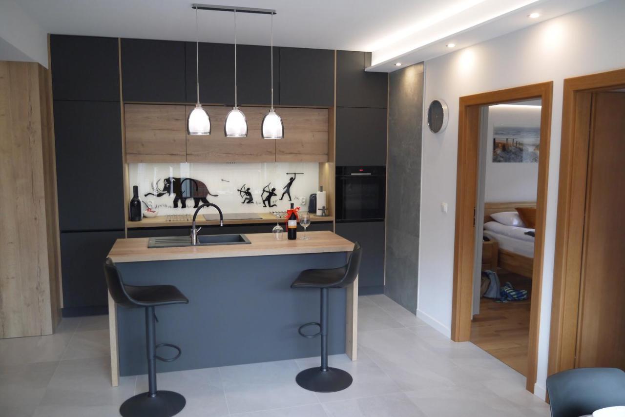 Nowy Apartament Zygmunta Premium グリヴィツェ エクステリア 写真
