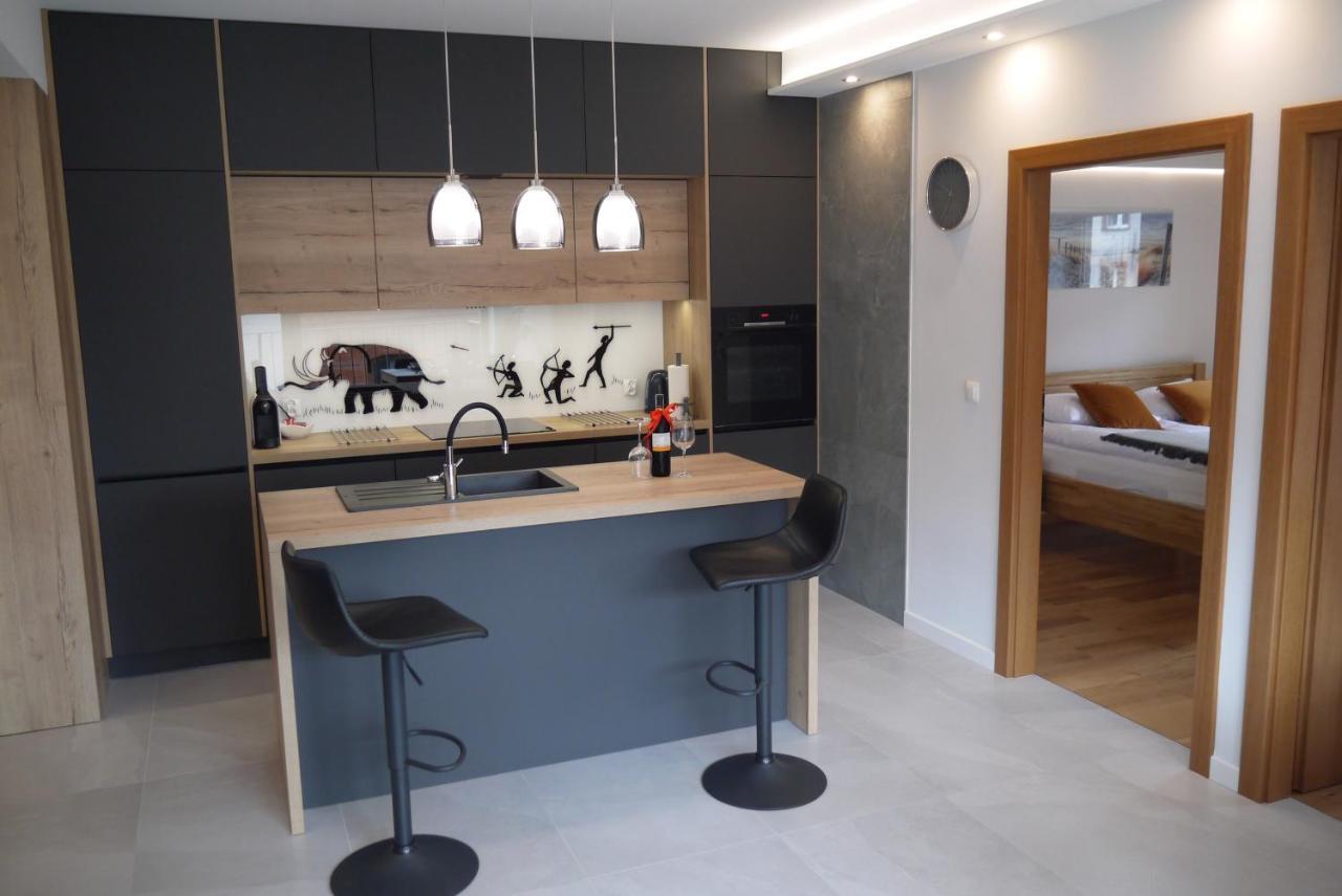 Nowy Apartament Zygmunta Premium グリヴィツェ エクステリア 写真