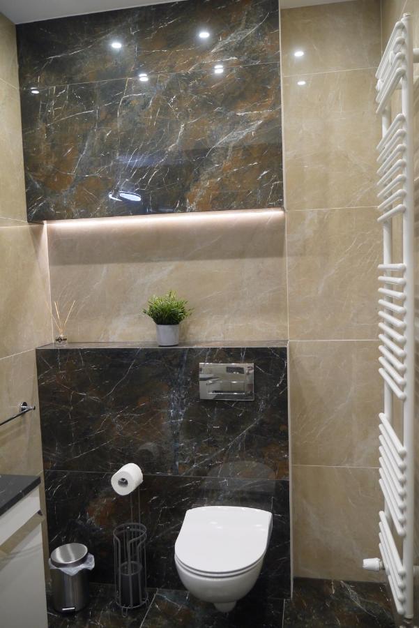 Nowy Apartament Zygmunta Premium グリヴィツェ エクステリア 写真