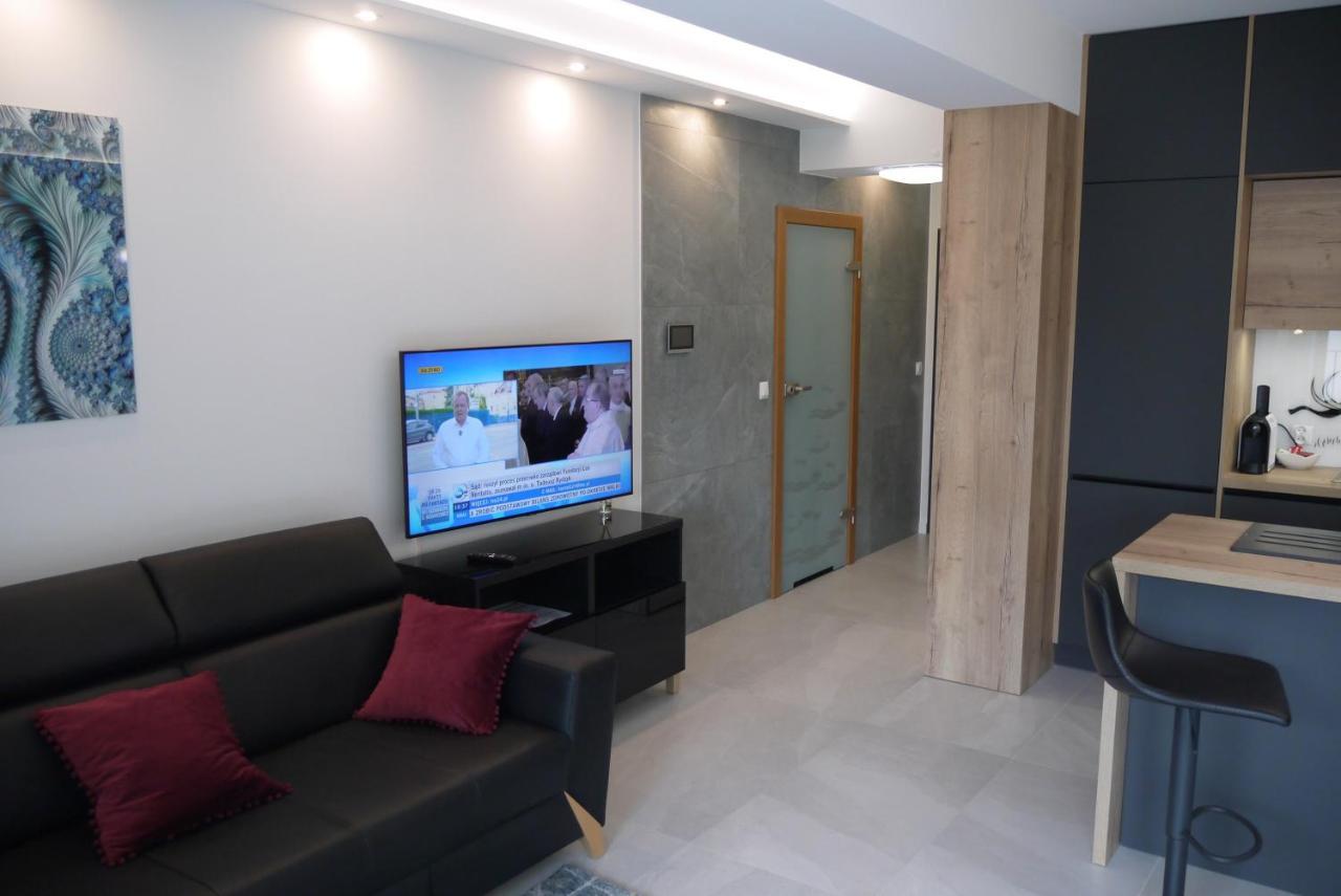 Nowy Apartament Zygmunta Premium グリヴィツェ エクステリア 写真